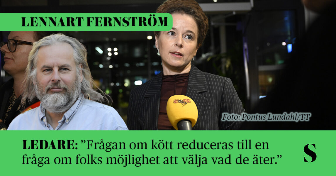 MP-språkröret Amanda Lind och en mikrofon. Skribenten i förgrunden.