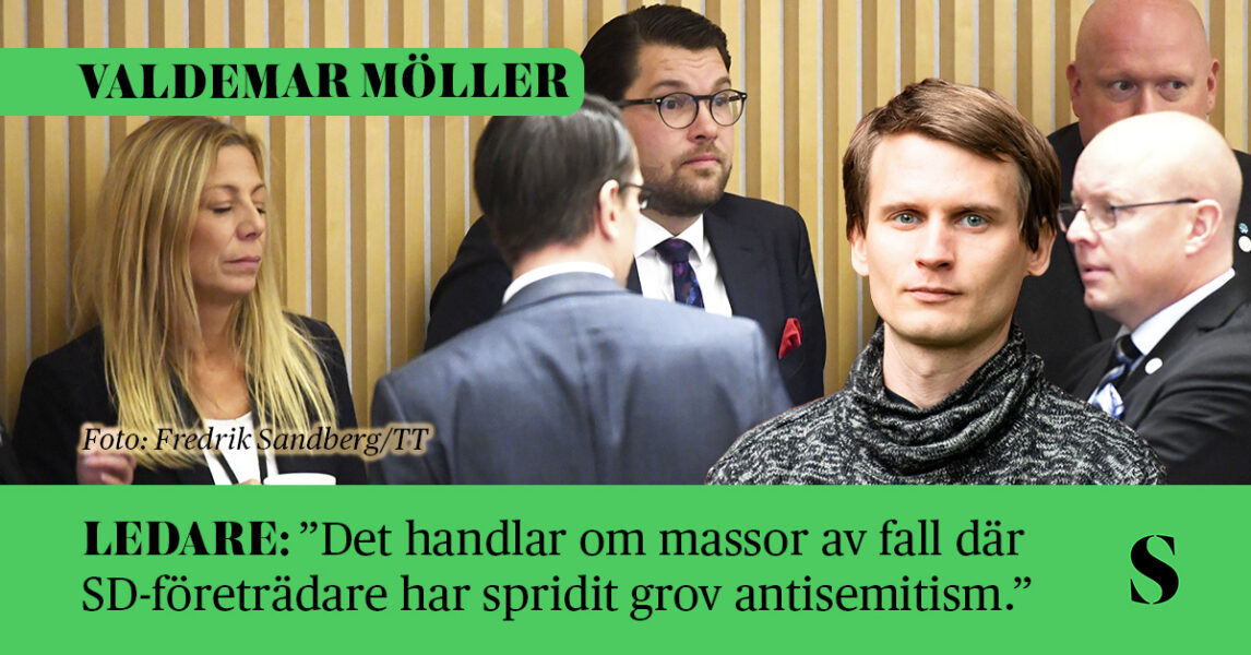 Ett gäng sverigedemokrater står och pratar i riksdagen. Skribenten i förgrunden.