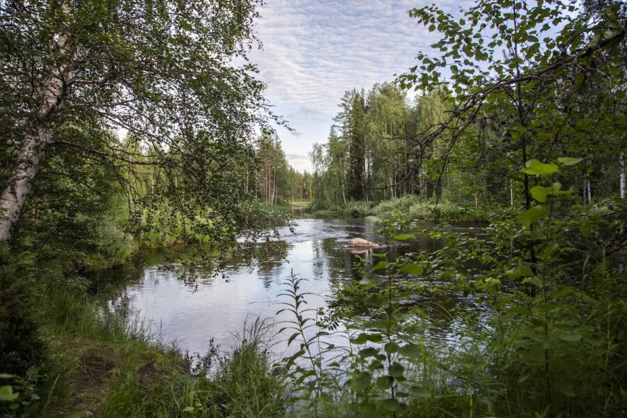 Svensk natur vid vattendrag.