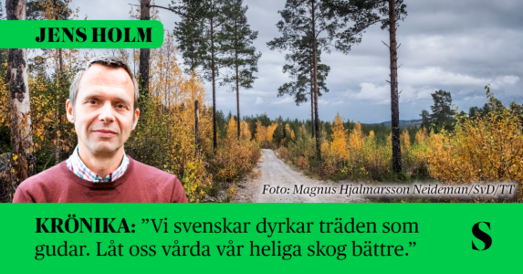 Skogsväg. Skribenten i förgrunden.