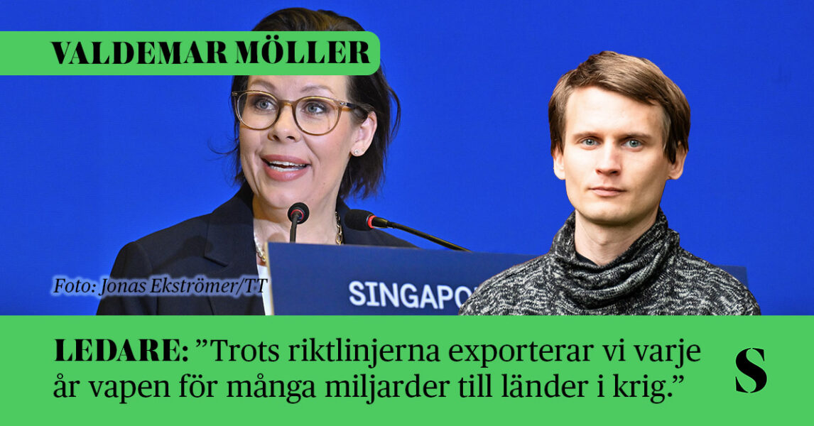 Utrikesminister Maria Malmer Stenergard. Skribenten i förgrunden.