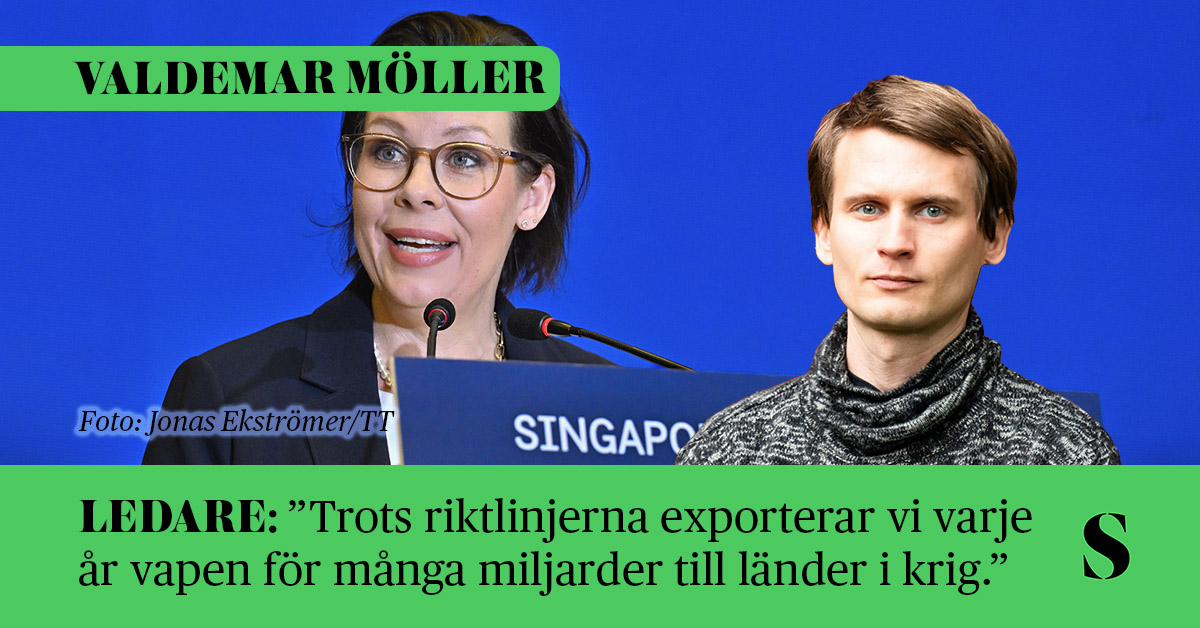 Utrikesminister Maria Malmer Stenergard. Skribenten i förgrunden.