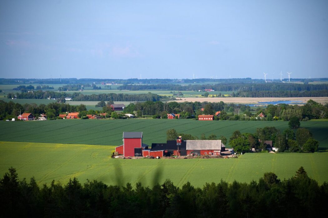 Utsikt över jordbrukslandskap.
