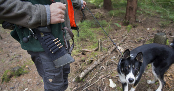Jägare med hund och patroner.