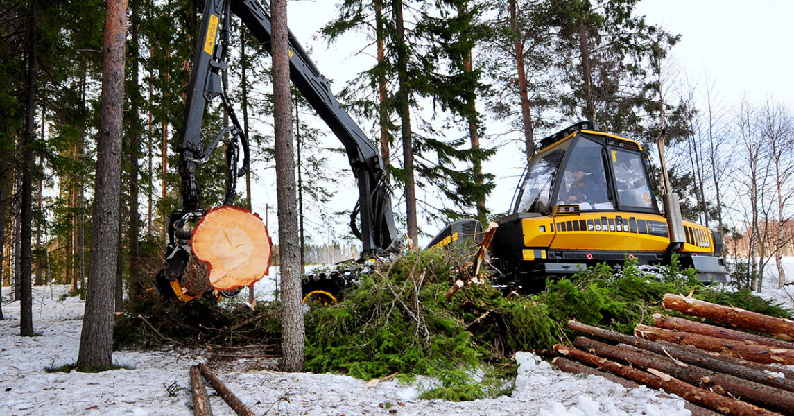 Kalhuggning av skog med skördare.