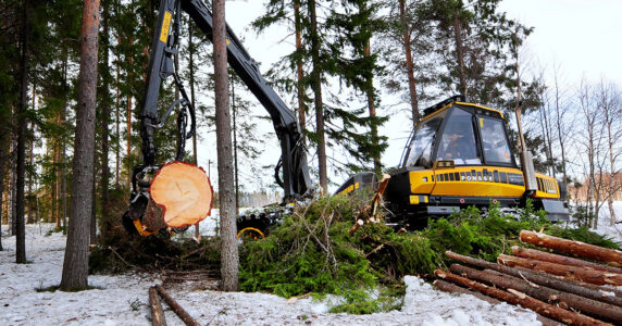 Kalhuggning av skog med skördare.