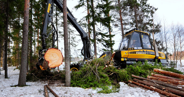 Kalhuggning av skog med skördare.