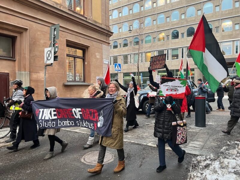 Demonstranterna går längst Stockholms gator.