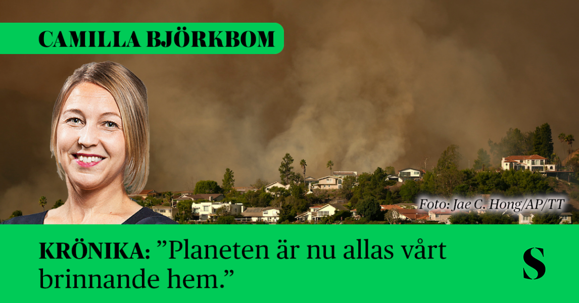 Brandrök ovanför Los Angeles. Skribenten i förgrunden.