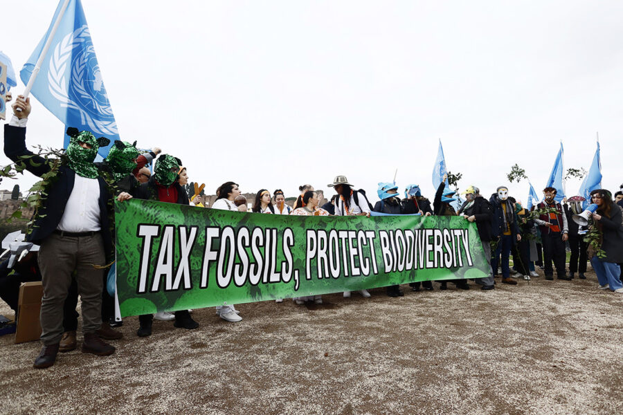 demonstranter i mask på rad, håller banderoll med texten Tax fossils, protect biodiversity. FN-flaggor.