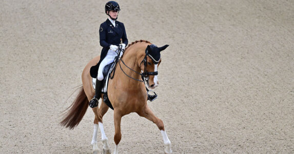 Ryttare på häst på arena.