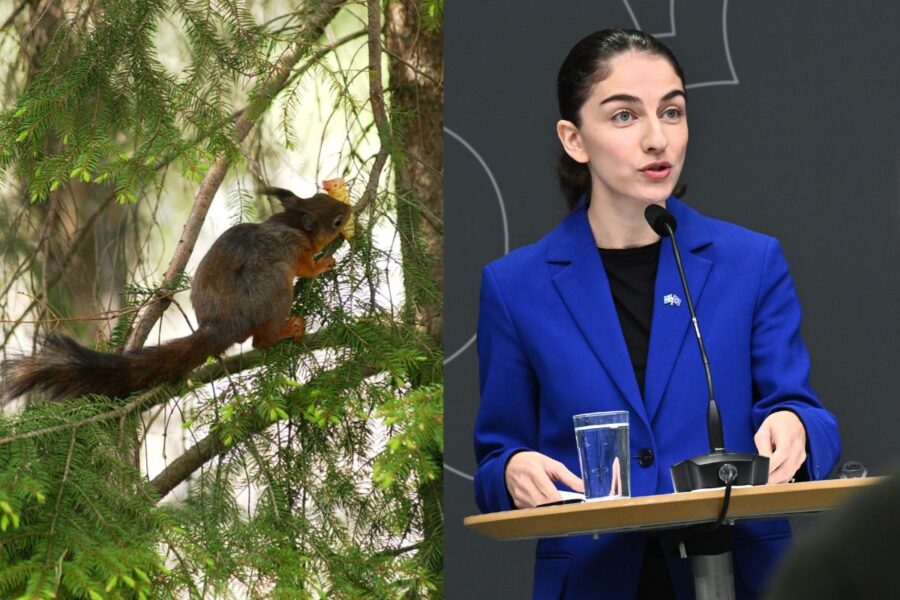 Ekorre och klimat- och miljöminister Romina Pourmokhtari.