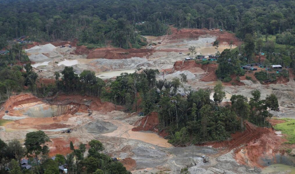 Nedhuggen skog i Colombia.