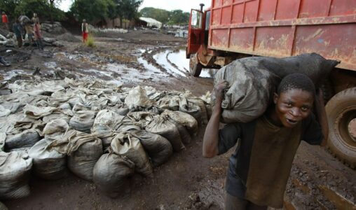 Barn bär på säck i Kongo.