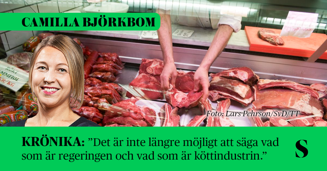 Köttdisk. Skribenten i förgrunden.