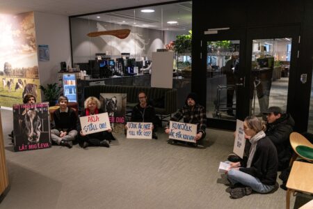 Sittande protest vid Arlas kontor.
