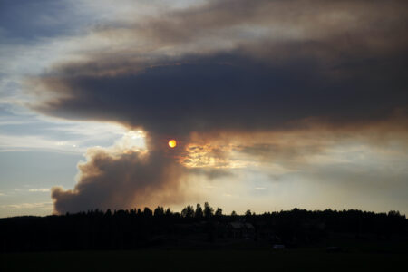 Skogsbrand