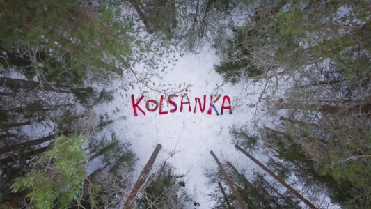 Röda halsdukar formar ordet kolsänka.