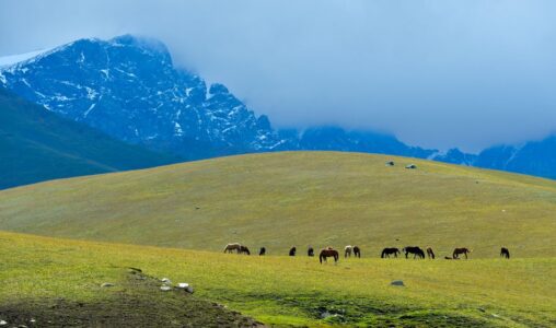 Stäpp i Centralasien