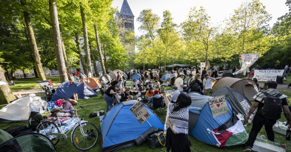 Tältläger med palestinska flaggor i park.