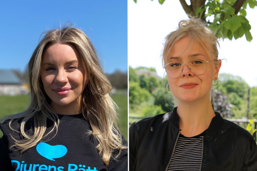 Therése Lindgren och Tina Hogevik.