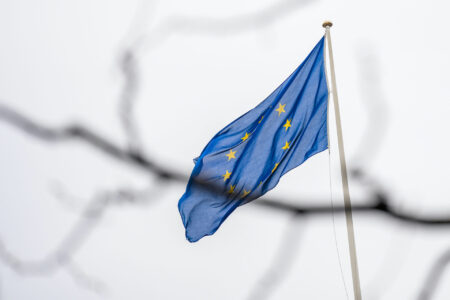 EU-flagga