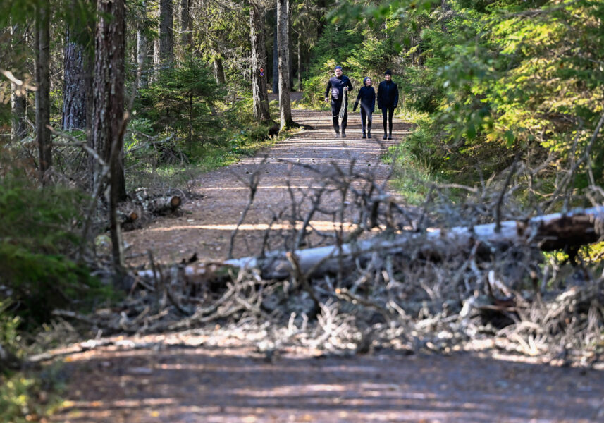 Regeringens neddragningar till länsstyrelserna leder till minskat underhåll av vandringsleder.