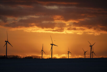 Vindkraftverk i solnedgång