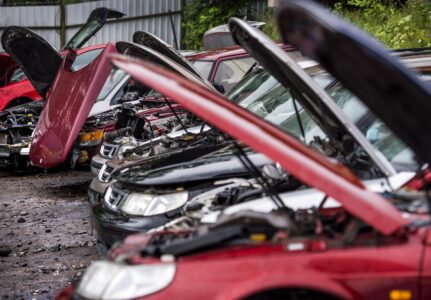 Bilar på rad på bilskrot.