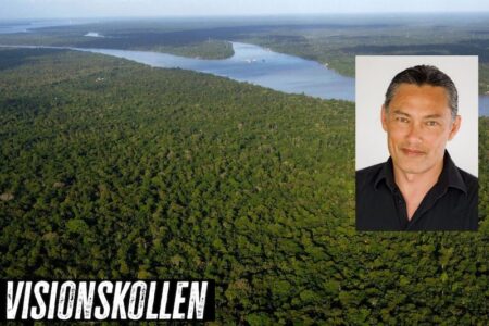 Regnskog plus delton chen