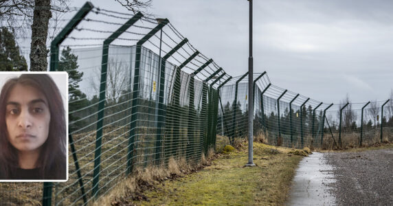 Ett högt stängsel längs en lerig liten väg i gräset.
