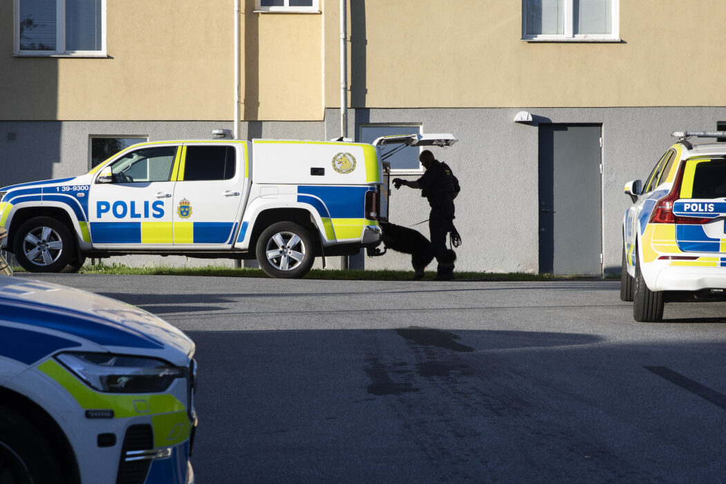 Hund hoppar in i polisbil.
