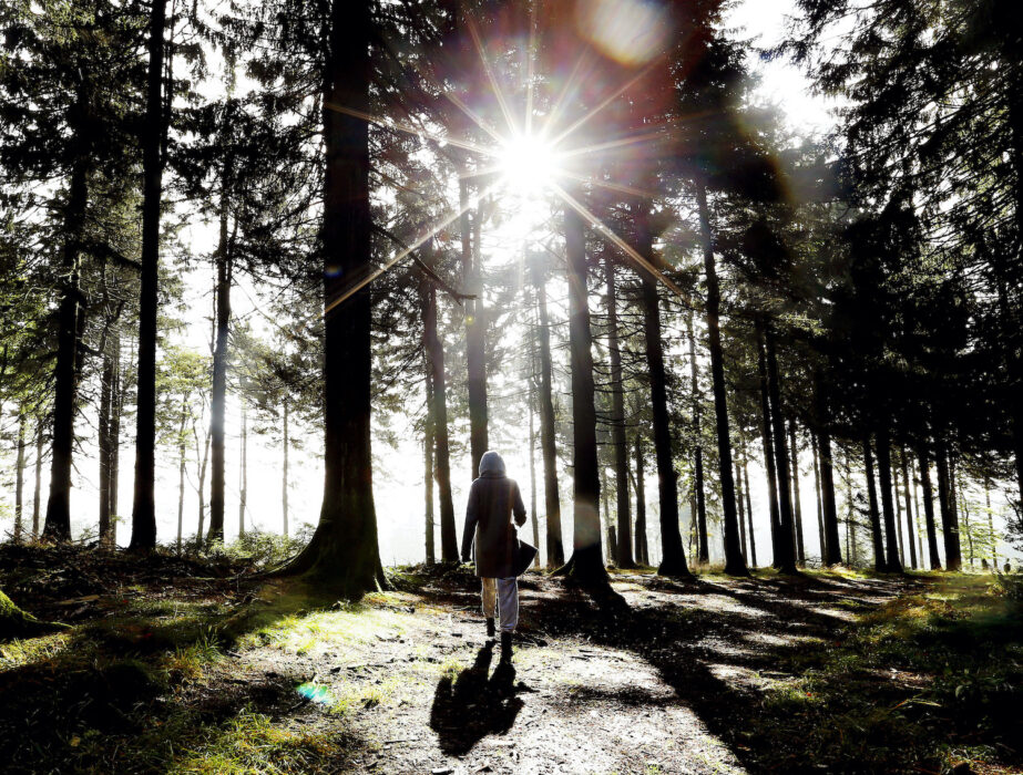 En kvinna på en stig i skogen.