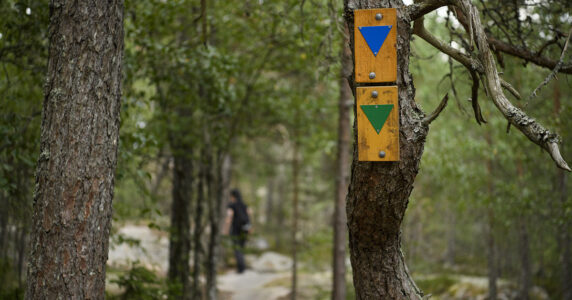 En skog med skyltade vandringsleder.