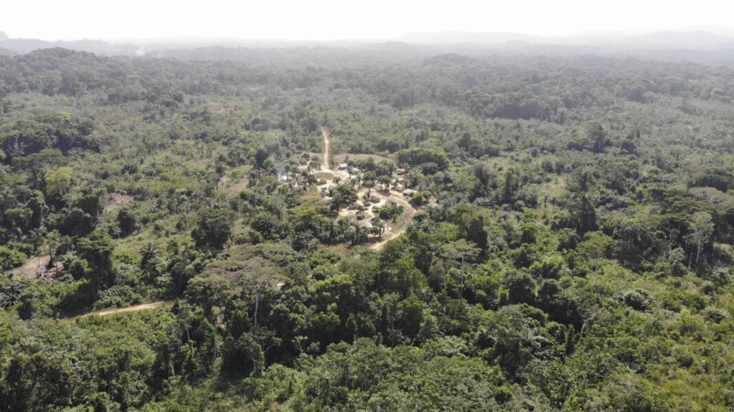 En stad i Liberia omgivet av skog.