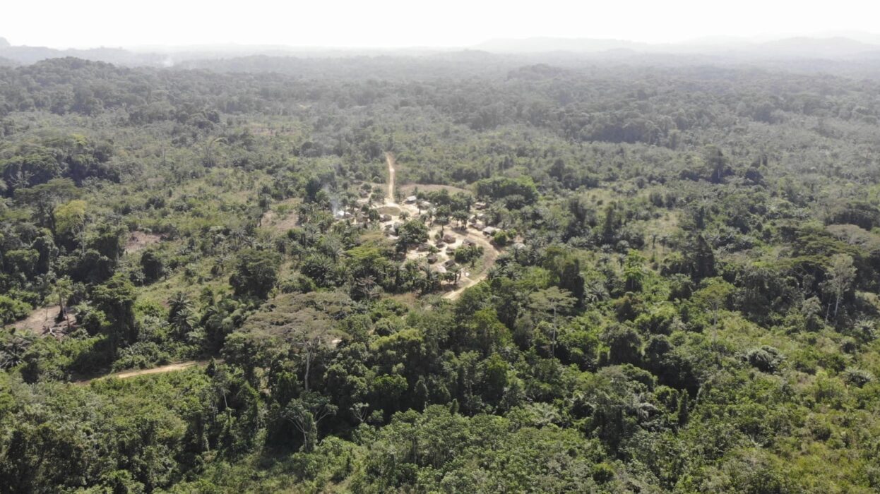 En stad i Liberia omgivet av skog.