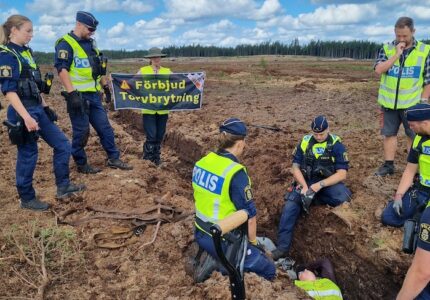 Poliser runt diket och ebba