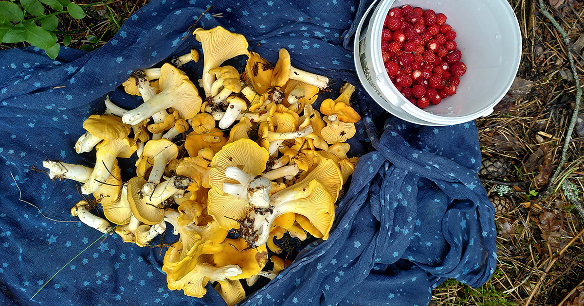 ”Hon vet inte vad de väger och har ingen aning om hur mycket de hittills har fryst in. Ingen annan bryr sig heller. Det är ingen tävling.” ”Hon vet inte vad de väger och har ingen aning om hur mycket de hittills har fryst in. Ingen annan bryr sig heller. Det är ingen tävling.”