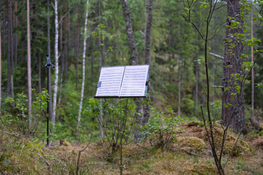 Partitur i skog.