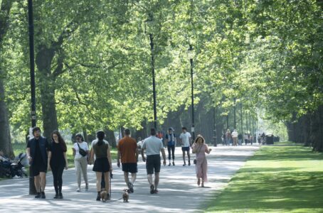 Människor promenerar i en park med stora träd.