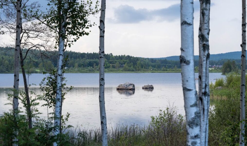 Vy över sjö i Norrland.