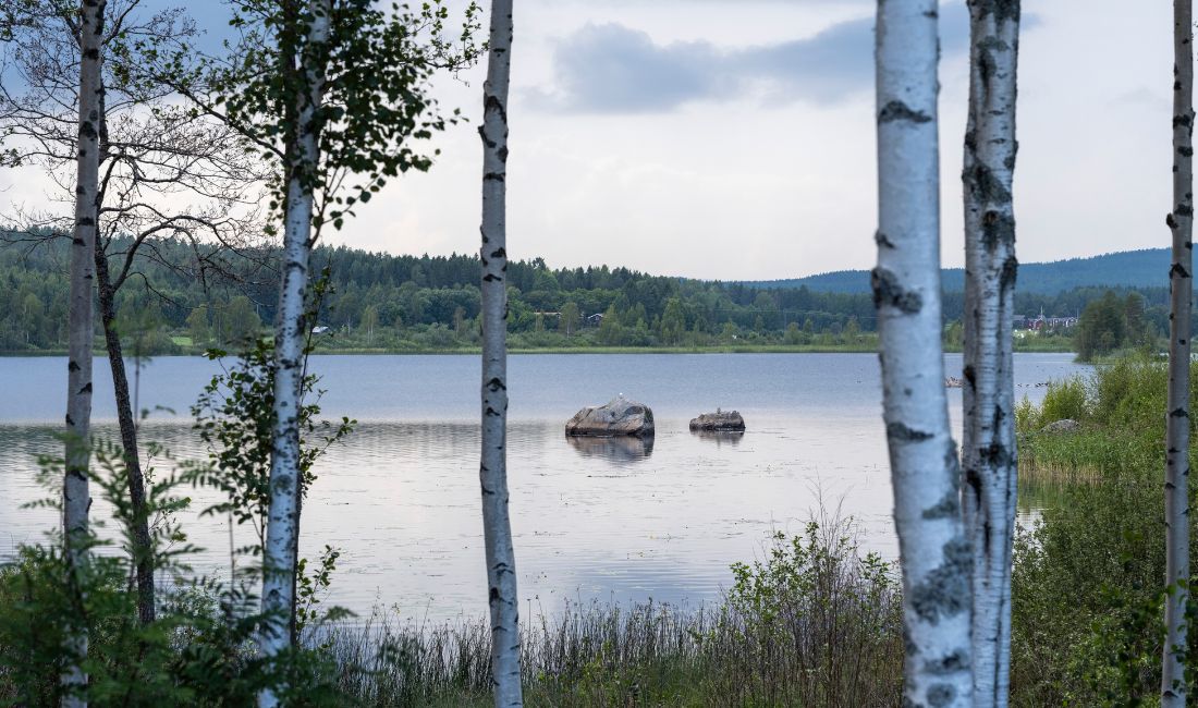 Vy över sjö i Norrland.