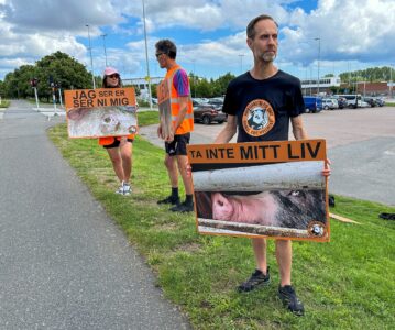 Aktivister håller skyltar med bilder på grisar, en med budskapet "ta inte mitt liv".