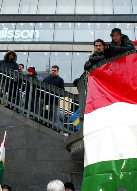 En kvinna talar framför en kurdisk flagga.