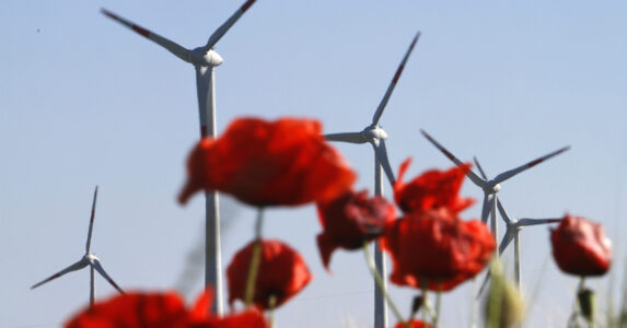 Vindkraftverk bakom vallmoblommor.