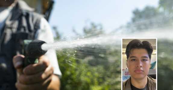 Någon sprutar vatten med en slang. Skribenten inklippt.