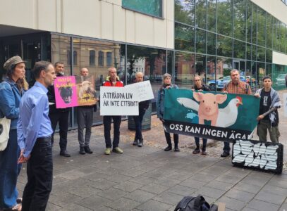 Manifestation vid tingsrätten