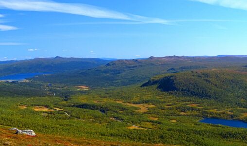 Vindelfjällens naturreservat.