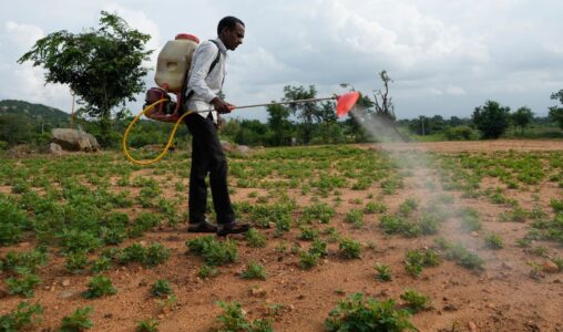 Man besprutar ett fält i Indien.