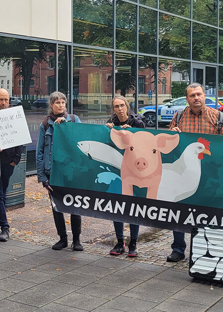 En liten demonstration.